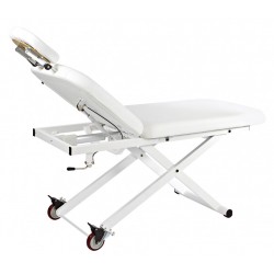 Table de massage TM10