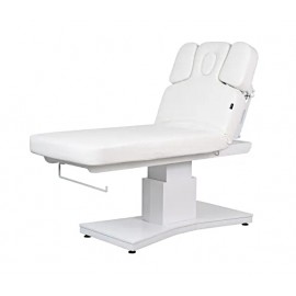Table de massage TM48 dossier relevé Table de massage TM48 dossier relevé