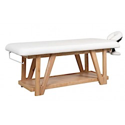 Table de massage TM55
