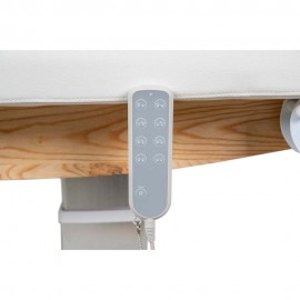 Télécommande table massage TM19