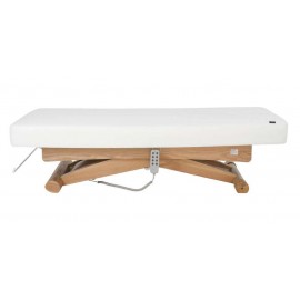 Table de massage TM56