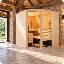 Sauna combiné C2020