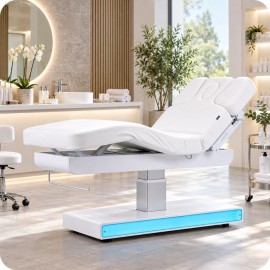 Table de massage TM40