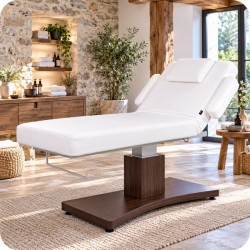 Table de massage TM10