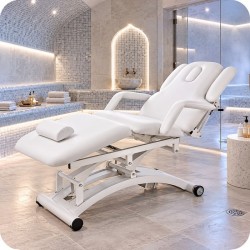 Table de massage TM41C