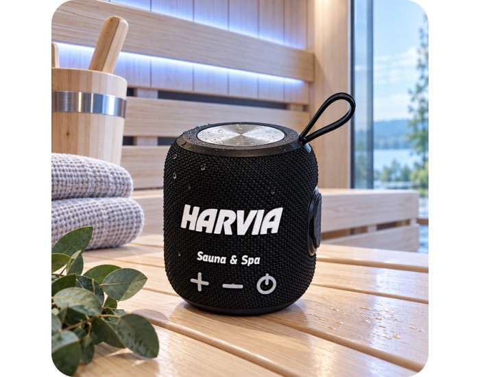 Enceint Bluetooth sauna SP10
