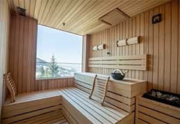 Sauna haut de gamme