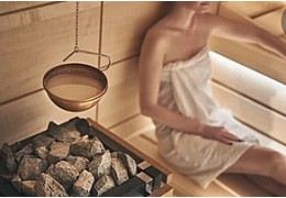 Commande sauna Senlog