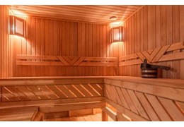 Poele sauna encastré
