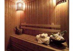 Origine Européenne d'un sauna
