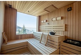 Sauna avec fenètre