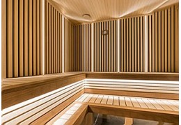 Sauna infrarouge de luxe