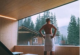 Sauna panoramique vitré